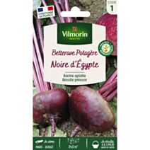 Graine betterave potagère Noire d’Égypte racine aplatie sachet - VILMORIN