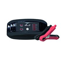 Chargeur de batterie intelligent 6/12v 10-100 ah