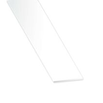 Plat Aluminium 30x2mm 2,50m Laqué Blanc