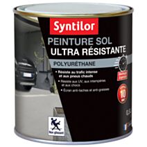 Peinture Sol Ultra Résistante 0,5L Asphalte Syntilor