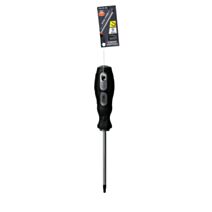 Tournevis cruciforme s2 tt20 xl100mm d5mm