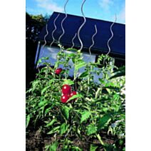 tuteur tomates spirale H1m80