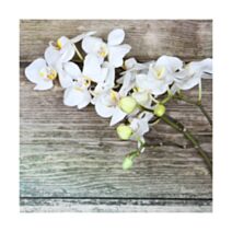 toile deco orchidee 30x30