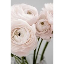 Toile Bouquet Rose 30x45cm