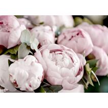 Toile Pivoine 30x45cm