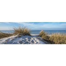 Tableau sur toile dune grass 30x97cm