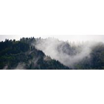Tableau sur toile brume naturelle 30x97cm 
