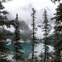 Tableau sur toile silent nature 30x30cm