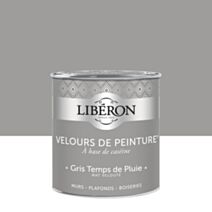 Peinture multisupport velours gris temps de pluie 0,5L - LIBERON