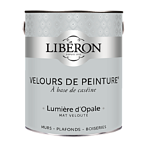 Peinture multisupport velours lumière d'opale 2,5L - LIBERON