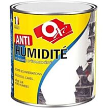 Peinture Anti-Humidité 0,5l