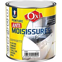 Peinture Anti -Moisissures 2,5L - OXI