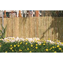 Canisse roseau fendu 1,5 x 5 m - IDEAL GARDEN