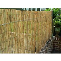 Paillon en tiges de roseaux naturels pelés occultant 2/5 1x5m - NATURE