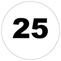 Disque ø 200 mm adhésif limitation vitesse 25