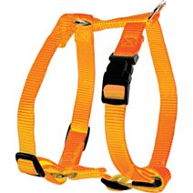 Harnais nylon réglable 40 mm orange - ZOLUX