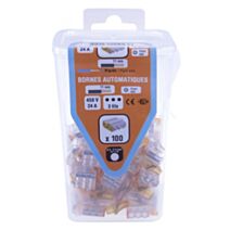 Lot de 100 bornes automatiques