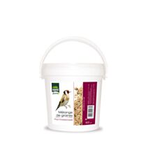Graine Chardonneret Seau 800gr - HAMI FORM