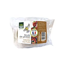 Boule de Graisse Oiseaux Géante Fruits 540gr