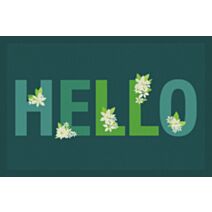 Tapis d'entrée Access Hello 60x40cm