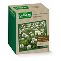 Trèfle blanc 0,5kg