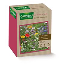 Fleur gazon japonais 0,52kg