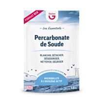 Soude caustique 1,5 kg - GERLON