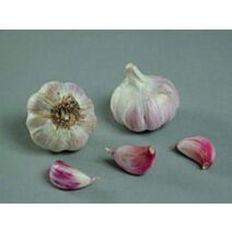 Ail rose eden rose 250 g