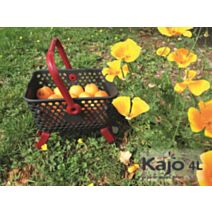 Panier Kajo 4L Gris / Cerise - POUSS VERT