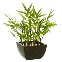 Bambou artificiel en pot H35 cm - ATMOSPHERA