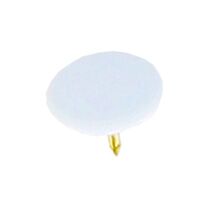 Punaises blanchesx150 - INVENTIV