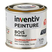 Peinture Extérieure Bois 10 ans Anthracite Satin 0,125L - INVENTIV
