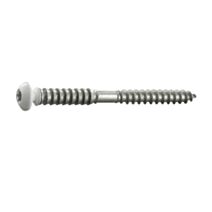 6 vis tête ronde fixation fenêtre PVC sur bois 6x60 - INVENTIV