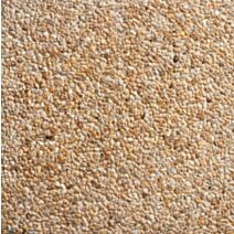 Dalle Variance graviers lavés fond blanc 40x40cm beige - EDYCEM