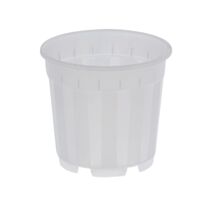 Godet orchidées ø17cm translucide