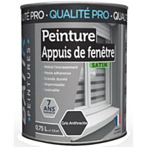 Peinture appuis de fenêtre gris anthracite 0,750 l