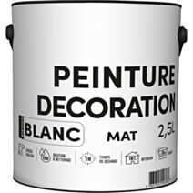Peinture TDP acrylique décoration intérieur blanc mat 2,5 L - RECA