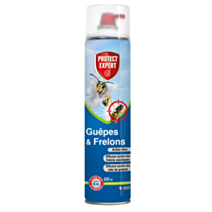 Insecticide Guêpes et frelons jet longue portée 600ml - PROTECT EXPERT