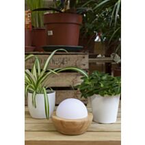 Diffuseur électrique pour huiles essentielles - GALEO