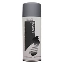 Peinture aérosol gris mat - AMT