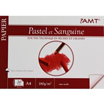 Bloc de papier Pastel et sanguine 20 feuilles 180gr/m² format A4 - AMT