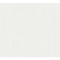Papier Peint Vinylt Vinyl Expansé Blanc Granite Fin 5,3m² - AS CREATION