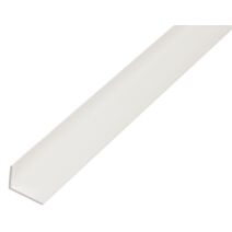 Cornière PVC blanc 20x10x1,5mm/1m - ALBERTS