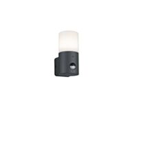 Applique murale Hoosic anthracite 17x8cm détecteur orientable - TRIO