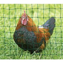 Filet non électrifié double pointe vert 25m