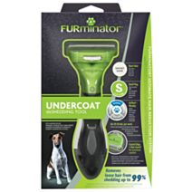 Outil de toilettage chien s poil court