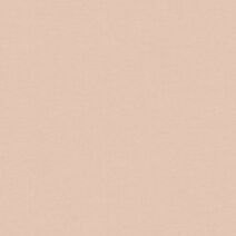 Papier peint vinyle lourd intissé uni Around saumone 10,05x0,53m - AS CREATION