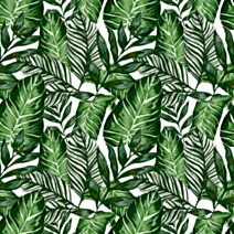 Film adhésif en rouleau Joy@fix Fantaisie House Plants 67,5 cm x 2 m