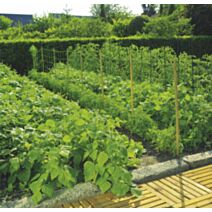 Trellinet (Filet à ramer) 2x10m - INTERMAS
