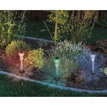 ALPHA Balise solaire Transparent Ø5,5 x H25cm